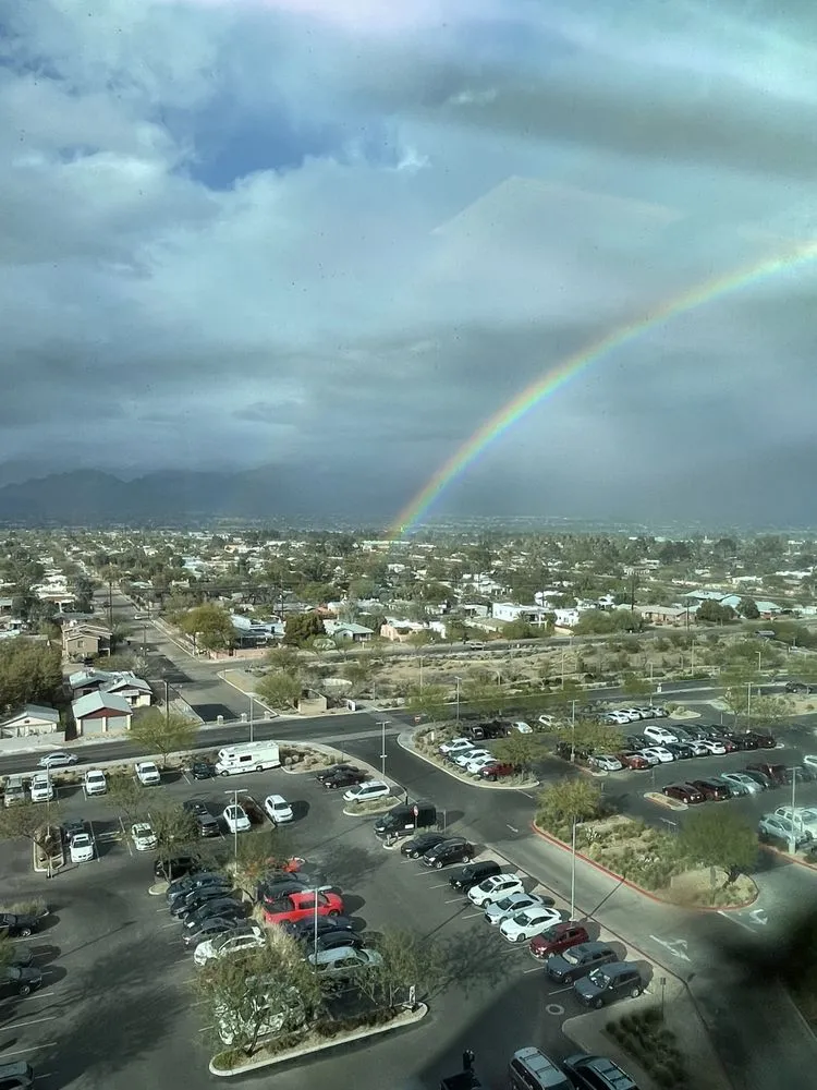 Reliable landscape design experts serving Tucson, AZ - Amazing Results Landscapers