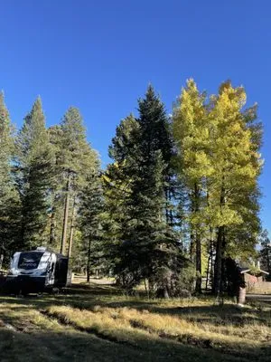 Amazing Results Landscapers Logo