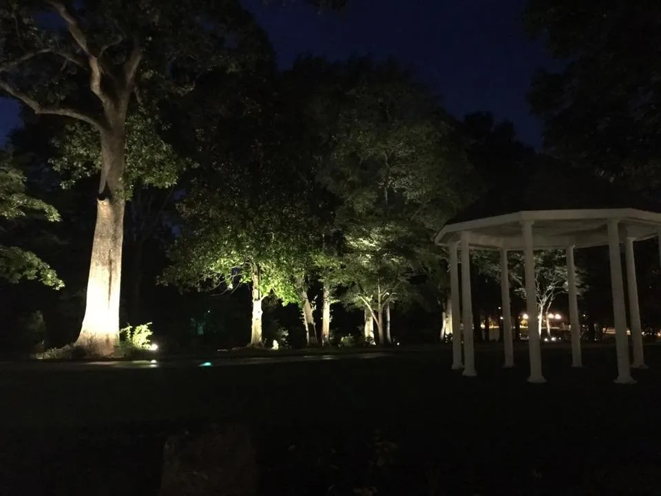 Expert yard cleanup service in Buford, GA - Amazing Scapes