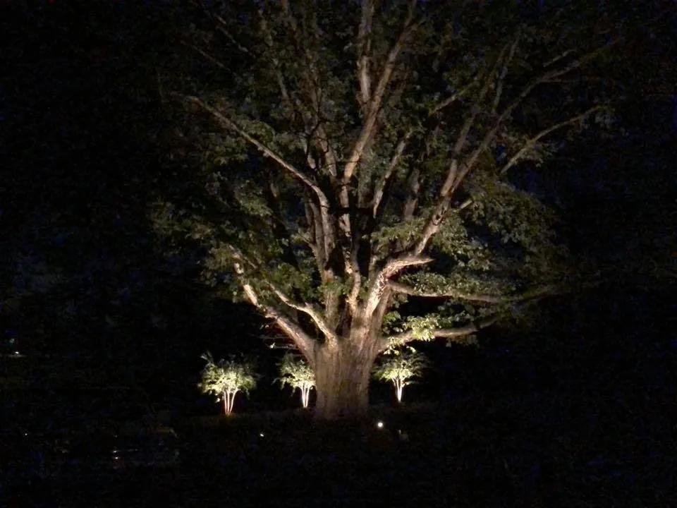 Local yard cleanup service with custom design in Buford, GA by Amazing Scapes