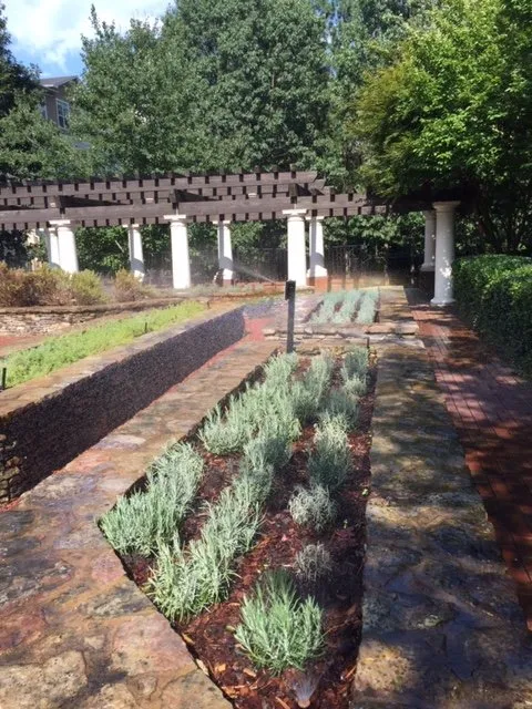 Professional landscape installation in Columbus, GA - Amazing Scapes