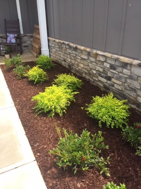 Custom landscaping services for homes in Columbus, GA by Amazing Scapes