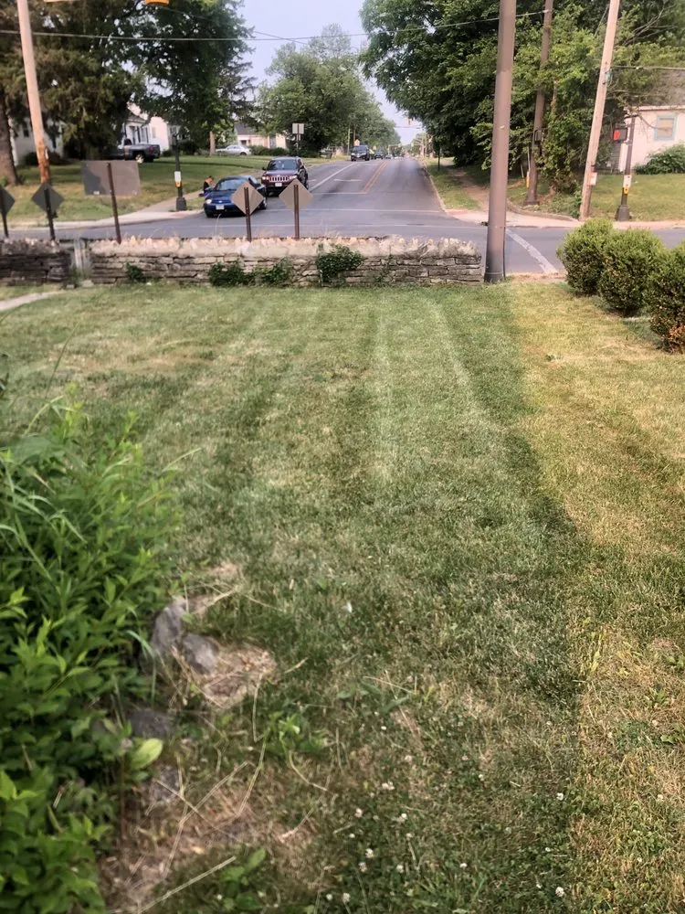 Professional lawn care service in Columbus, OH by Amazing Stripes Lawncare Service