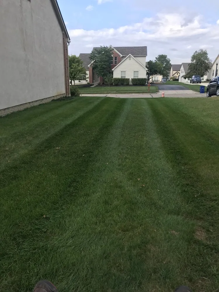 Reliable yard maintenance in Columbus, OH - Amazing Stripes Lawncare Service