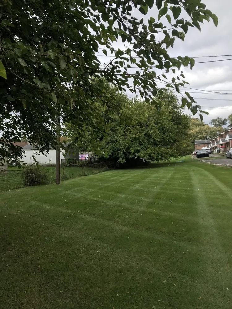 Custom yard maintenance in Columbus, OH - Amazing Stripes Lawncare Service