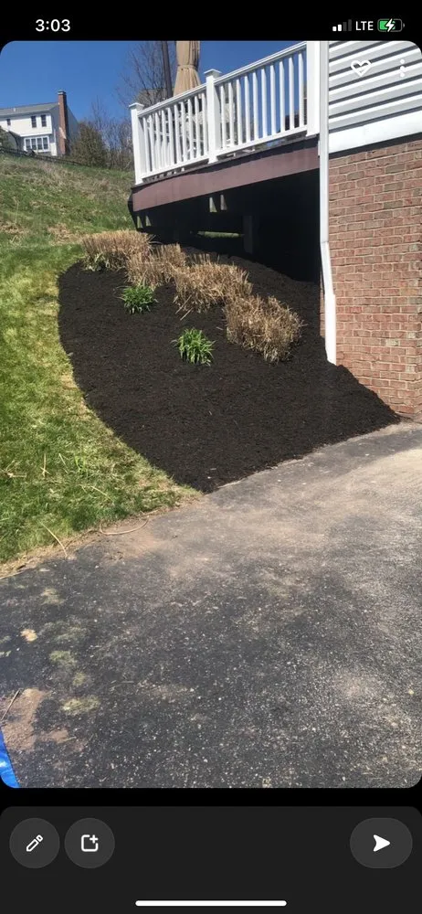 Affordable landscape installation in Pittsburgh, PA by Amazing Tree