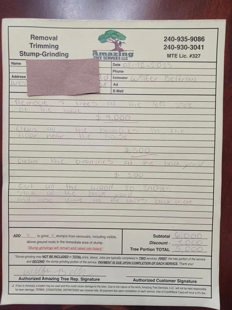 Top-rated yard cleanup service for beautiful yards in Dover, NJ by Amazing Tree Services