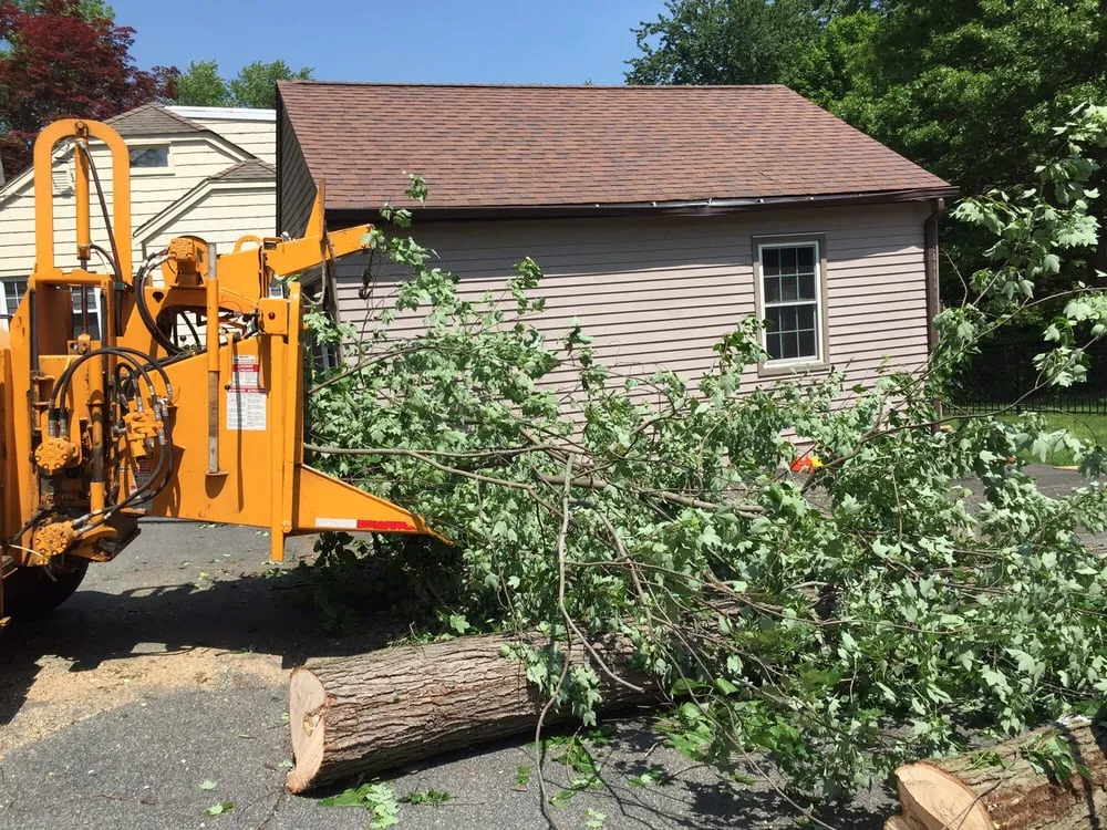 Top-rated lawn care service experts serving Dover, NJ - Amazing Tree Services