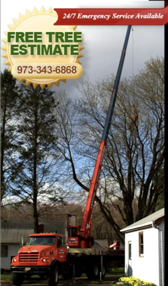 Affordable landscaping services in Dover, NJ by Amazing Tree Services