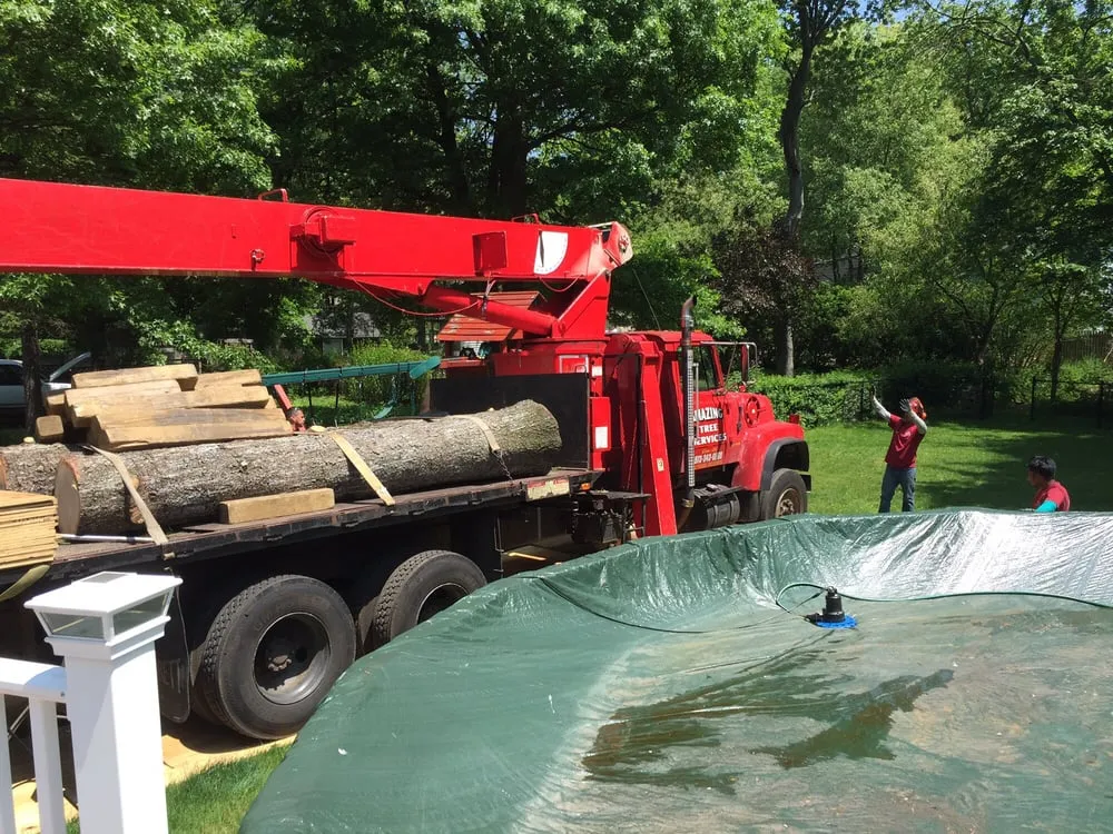 Local landscaping services in Dover, NJ by Amazing Tree Services