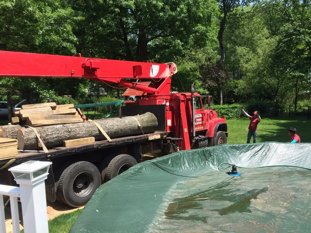 Local lawn mowing service in Dover, NJ - Amazing Tree Services