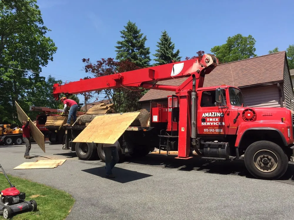 Local outdoor landscaping in Dover, NJ - Amazing Tree Services