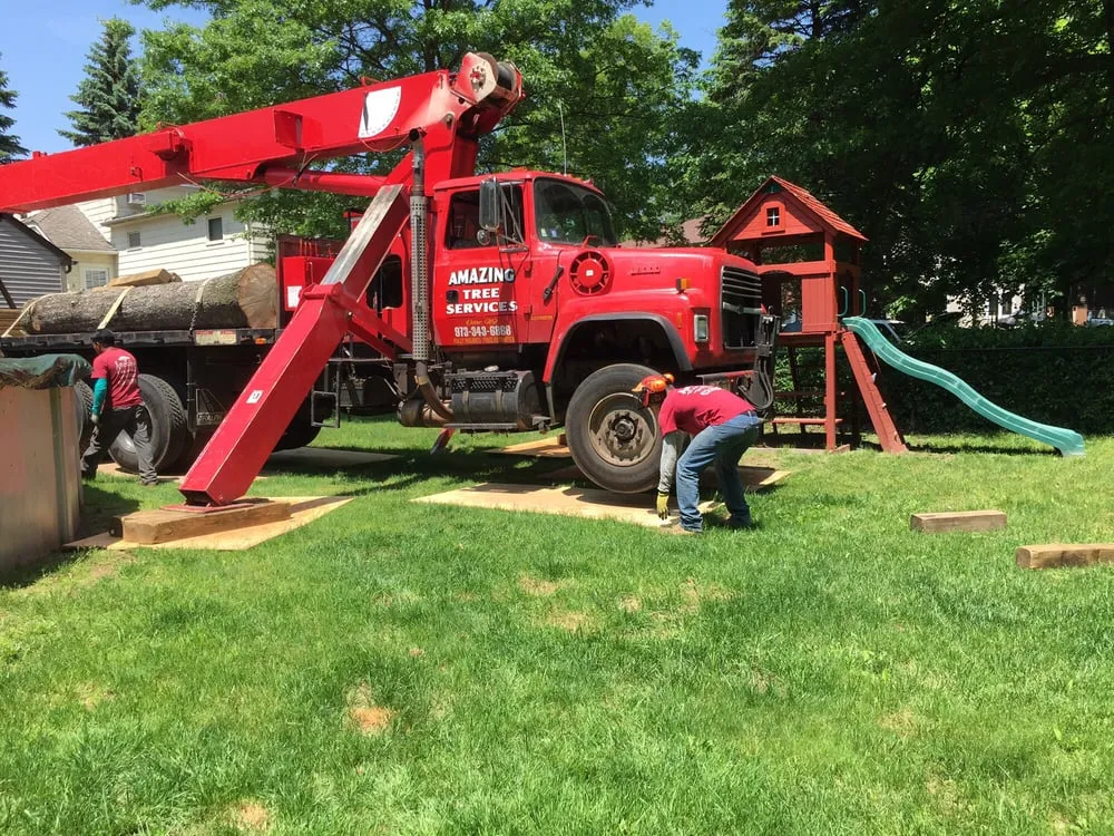 Top-rated lawn care service for homes in Dover, NJ by Amazing Tree Services