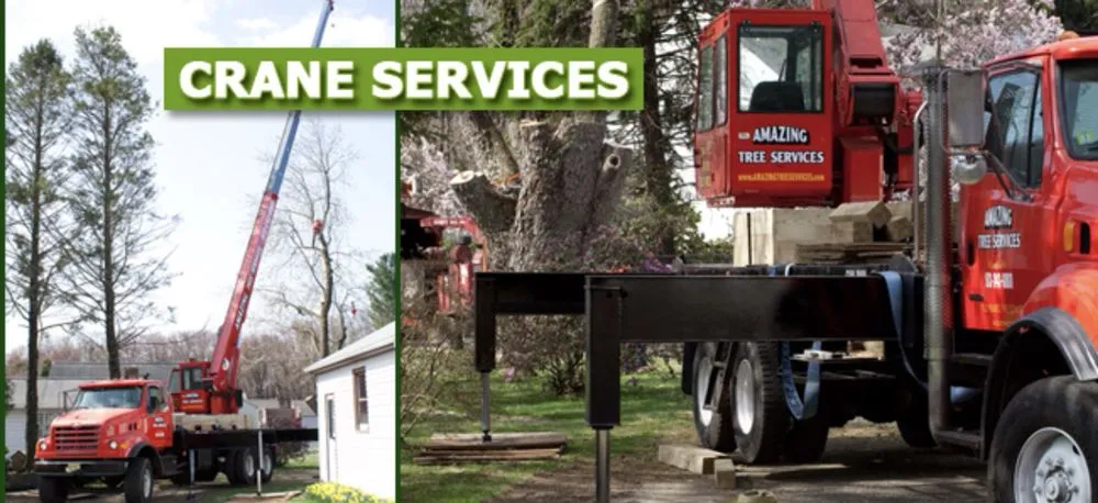 Professional garden landscaping in Dover, NJ by Amazing Tree Services