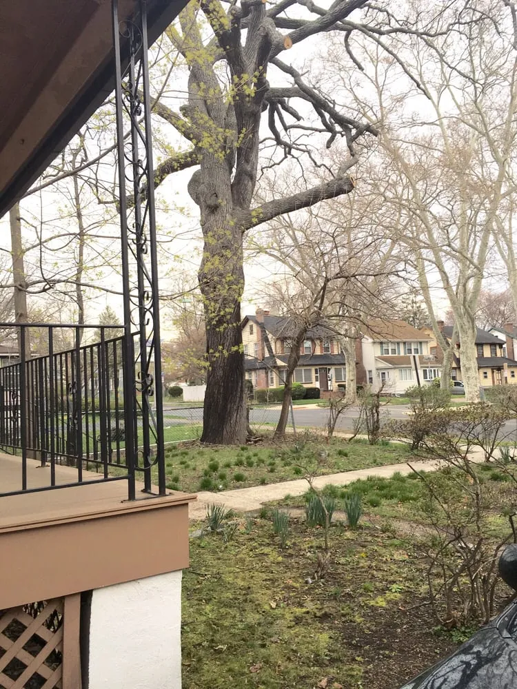 Affordable landscaping services with custom design in Dover, NJ by Amazing Tree Services