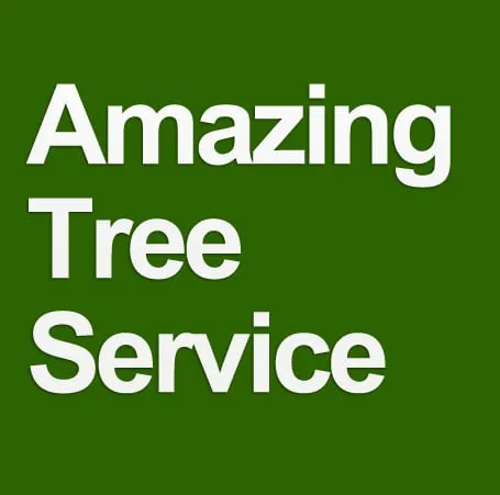 Local landscaping services for homes in Dover, NJ by Amazing Tree Services