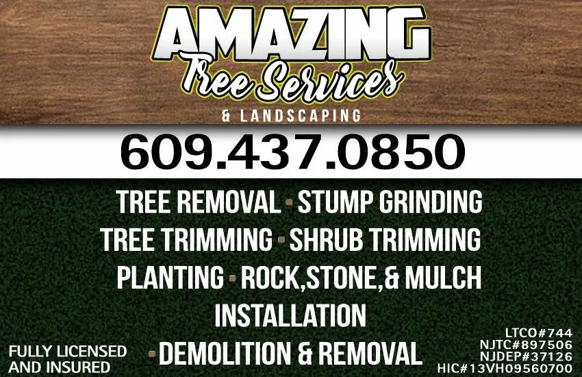 Professional lawn care service in Manchester, NJ by Amazing Tree Services