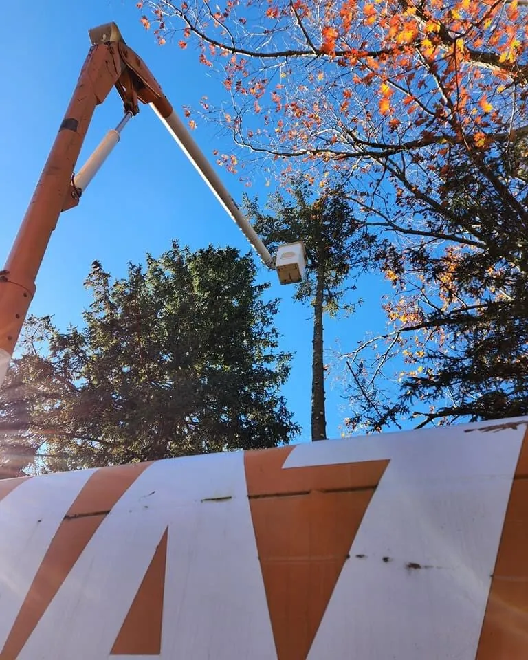 Top-rated garden landscaping near you across Manchester, NJ - Amazing Tree Services