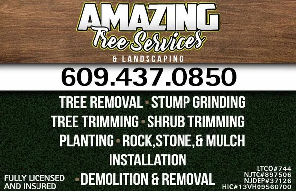 Amazing Tree Services