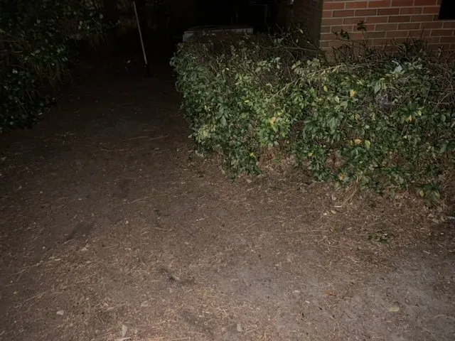 Local landscaping services for homes across Fayetteville, NC - Amazing View Lawn Care