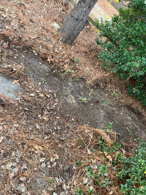 Custom yard cleanup service in Fayetteville, NC - Amazing View Lawn Care