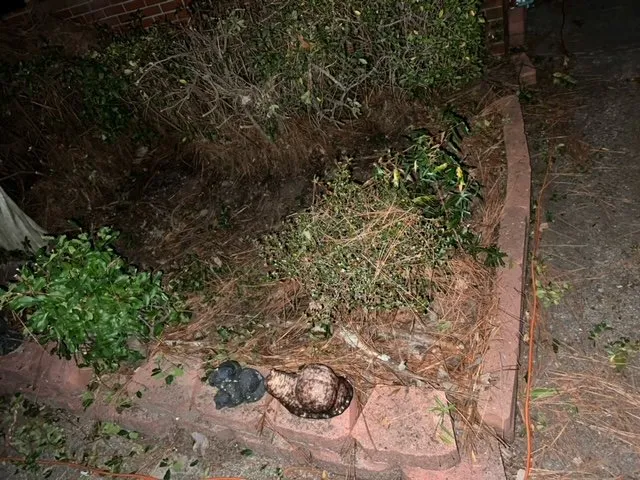 Local residential landscaping for residential properties across Fayetteville, NC - Amazing View Lawn Care