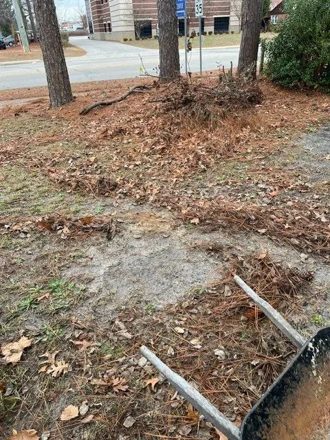 Trusted lawn care service for beautiful yards across Fayetteville, NC - Amazing View Lawn Care