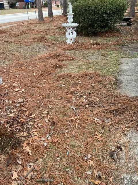 Custom lawn mowing service experts serving Fayetteville, NC - Amazing View Lawn Care