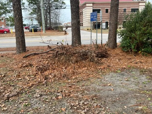 Affordable landscape installation in Fayetteville, NC - Amazing View Lawn Care