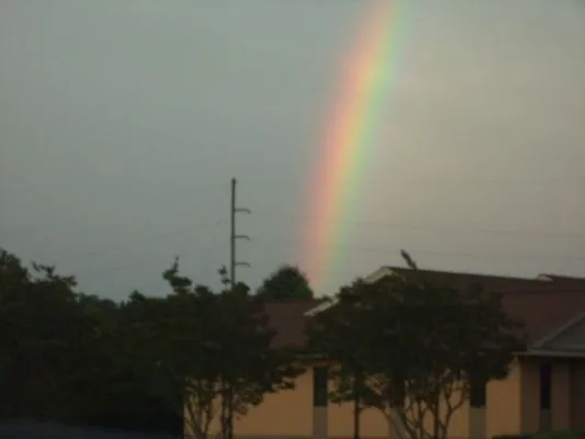 Amazingrazin Landscaping