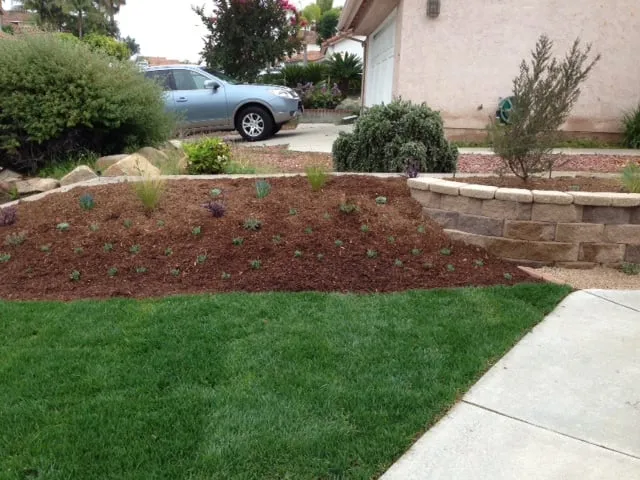 Top-rated garden landscaping for residential properties across Escondido, CA - Amazon Landscape And Maintenance