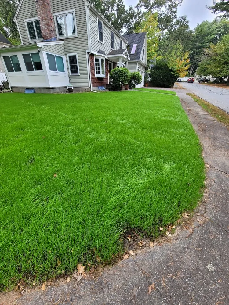 Reliable outdoor landscaping in Framingham, MA by Amazon Landscaping & Construction