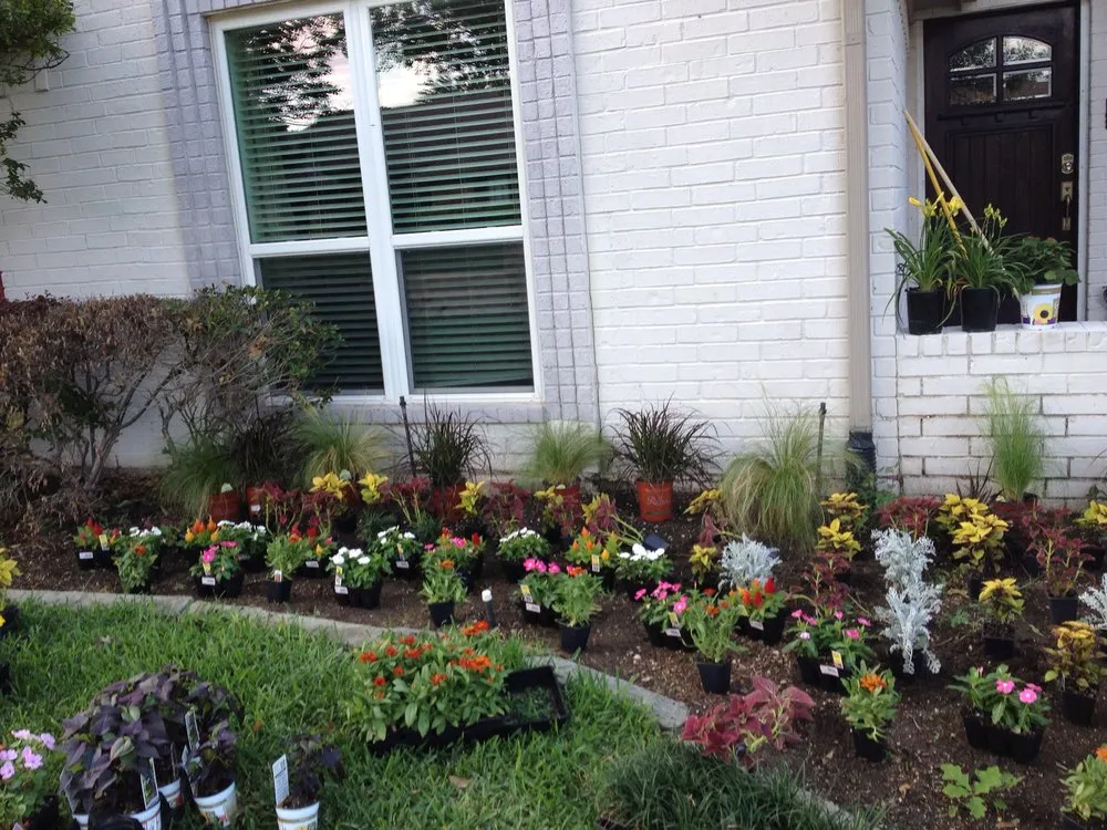 Expert landscaping services in Carrollton, TX - Amazon Lawn Care