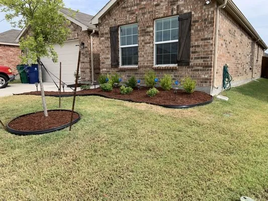 Amazon Lawn Care Logo