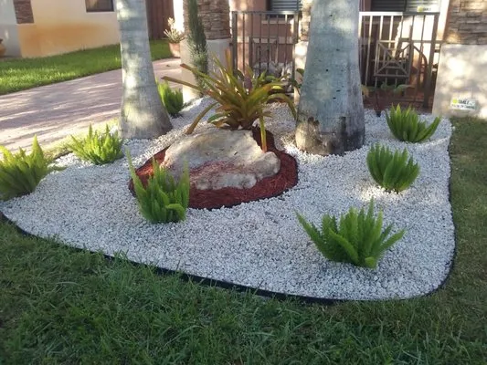 Amazon Lawn Maintenance Logo