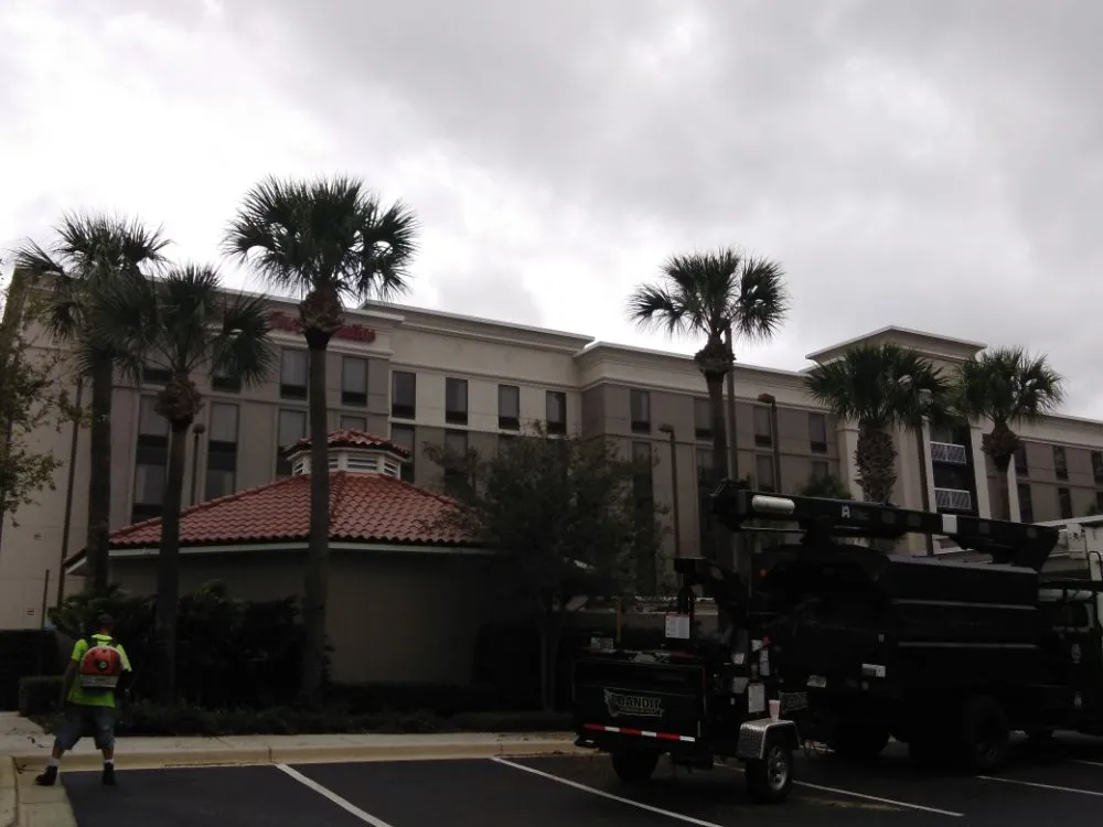 Reliable yard cleanup service for beautiful yards in San Antonio, TX by Amazon Lawn