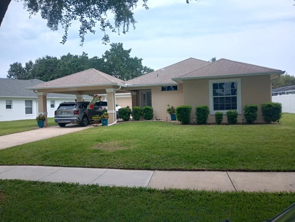 Reliable yard cleanup service experts serving San Antonio, TX - Amazon Lawn