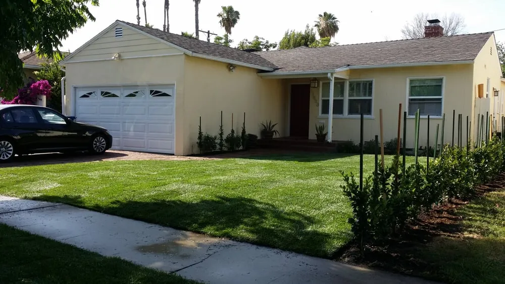 Professional lawn care service in Los Angeles, CA by Amazon Tree Service
