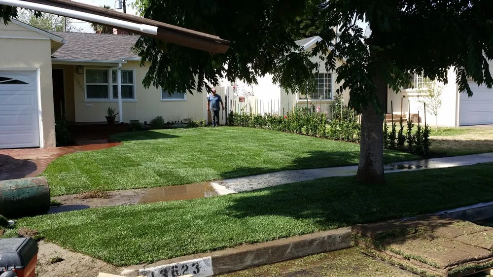 Professional lawn mowing service in Los Angeles, CA by Amazon Tree Service