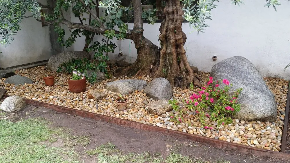 Reliable residential landscaping experts serving Los Angeles, CA - Amazon Tree Service