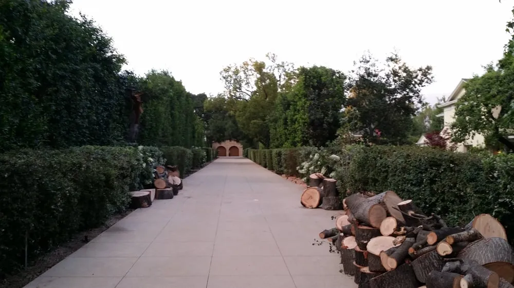Affordable landscape design for outdoor upgrades across Los Angeles, CA - Amazon Tree Service