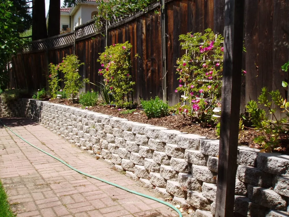 Top-rated yard cleanup service experts serving Mountain View, CA - Amazona Landscape