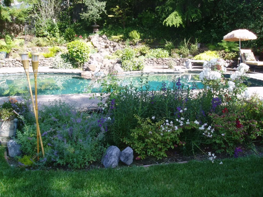 Trusted lawn mowing service for residential properties in Mountain View, CA by Amazona Landscape