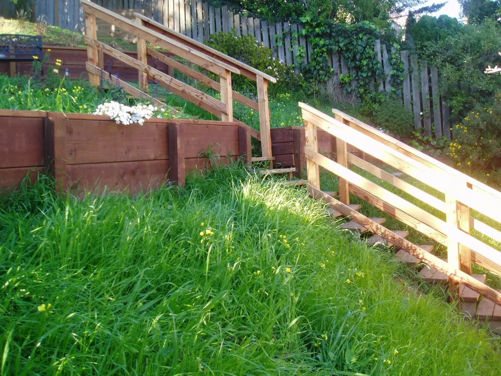 Expert yard maintenance for outdoor upgrades across Mountain View, CA - Amazona Landscape