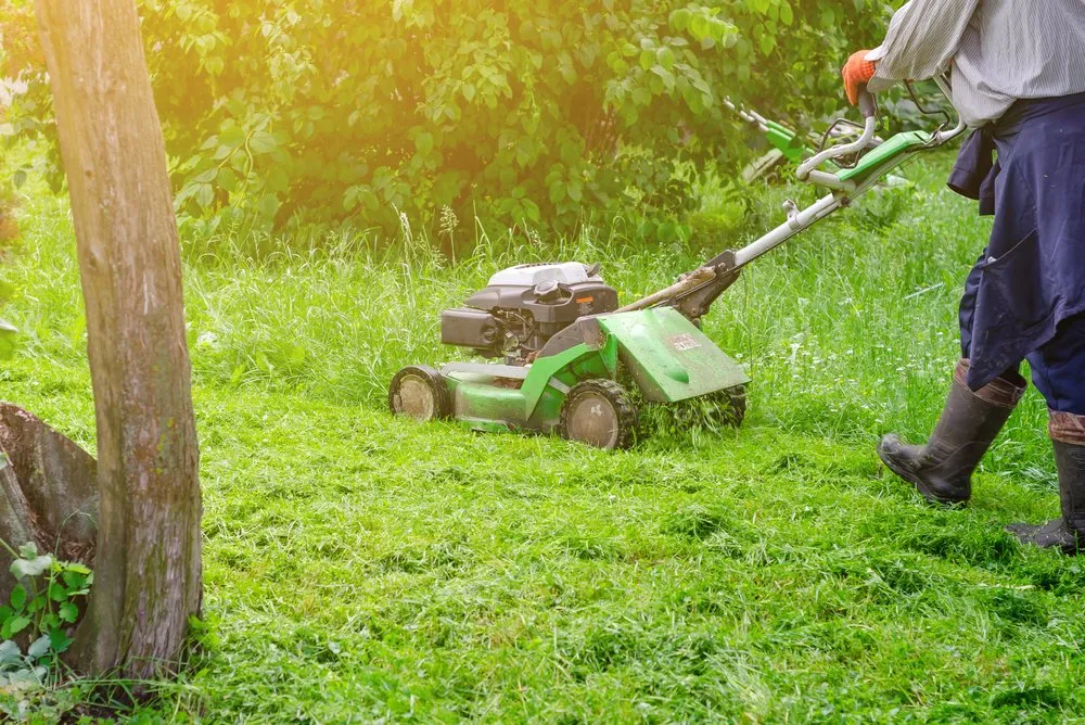 Professional lawn care service experts serving Worcester, MA - Amazona Masonry and Landscape Construction