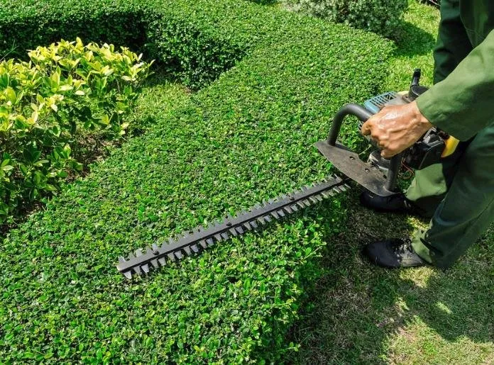 Professional landscape design for year-round maintenance across Ridgefield, WA - Amazonas Tree Services