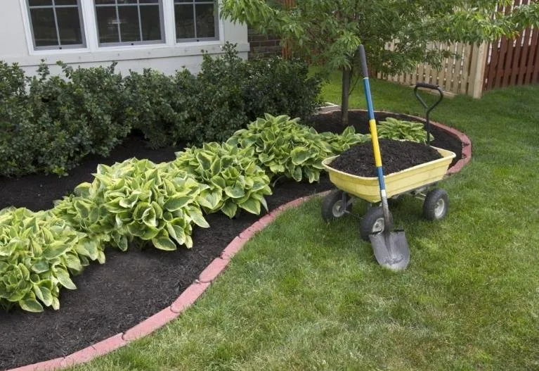 Professional landscape installation in Ridgefield, WA - Amazonas Tree Services