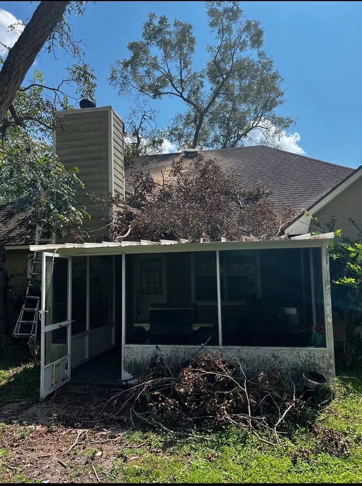 Expert yard cleanup service experts serving Dahlonega, GA - Amazonia Land Management & Tree Service