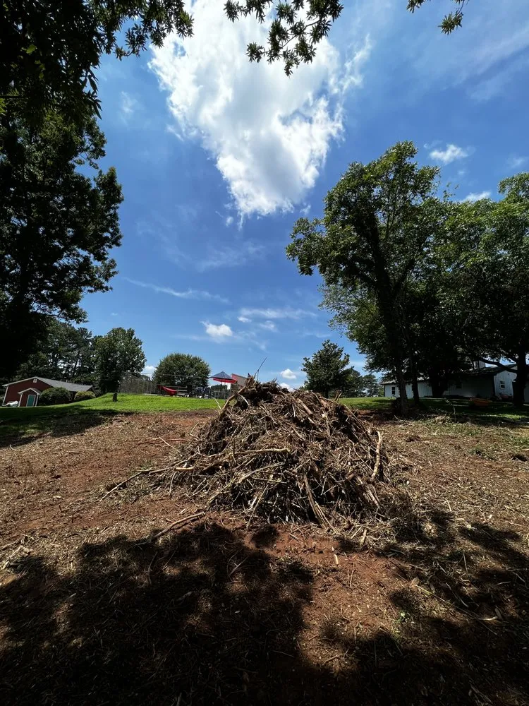 Affordable outdoor landscaping near you in Dahlonega, GA by Amazonia Land Management & Tree Service