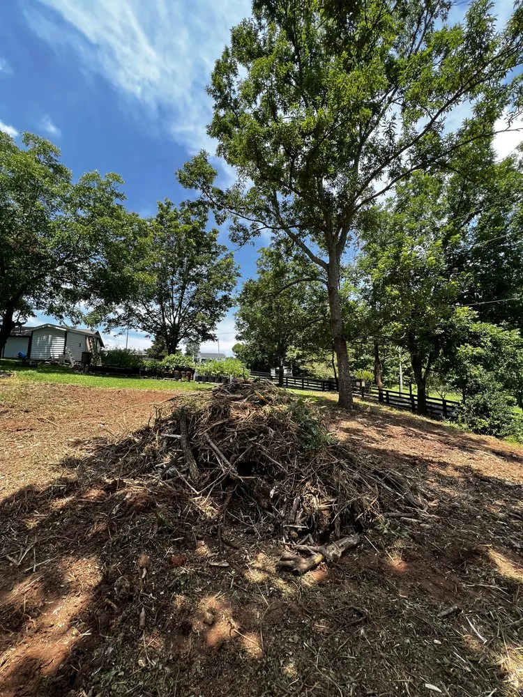 Affordable landscape design experts serving Dahlonega, GA - Amazonia Land Management & Tree Service